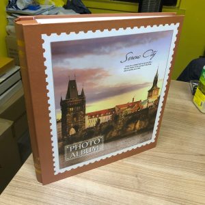 Rabsev RS19 Fotoğraf Albümü 10x15cm 500 Fotoğraf Kapasiteli Lüx Desenli Kutusuz